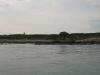 IMG_2276.JPG