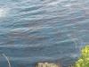 20050518-132050.JPG