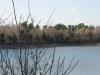109-0936_IMG.JPG