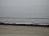 IMG_2869.JPG